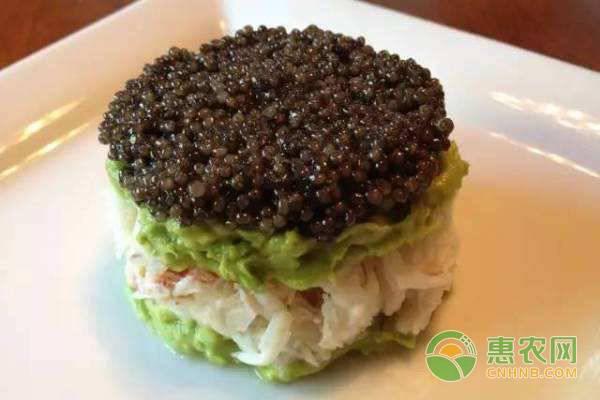 鱼子酱价格多少钱一斤(鱼子酱怎么吃才正确)