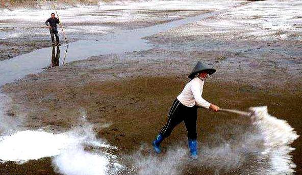 生石灰是什么(生石灰什么时候撒最合适)