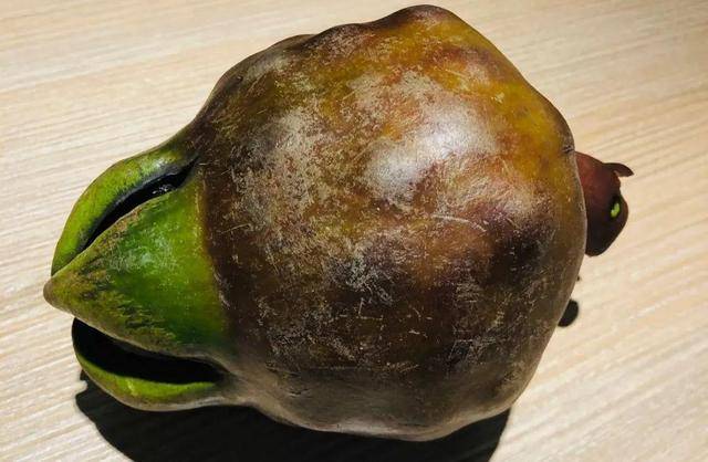 野菜有哪些常见品种(农村100种野菜图片)