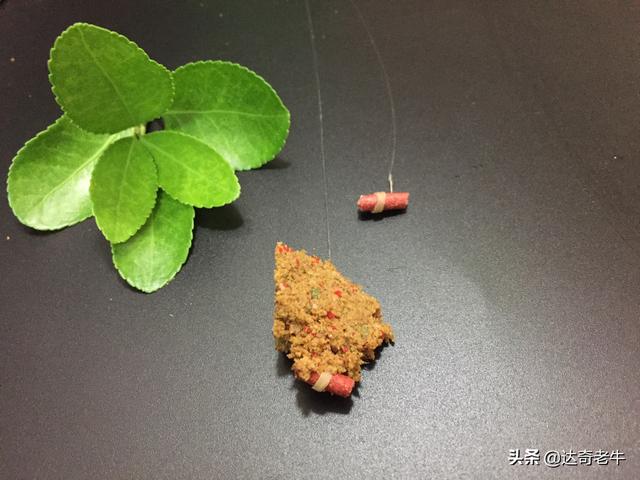 红虫颗粒怎么挂钩图解(红虫穿钩技巧)