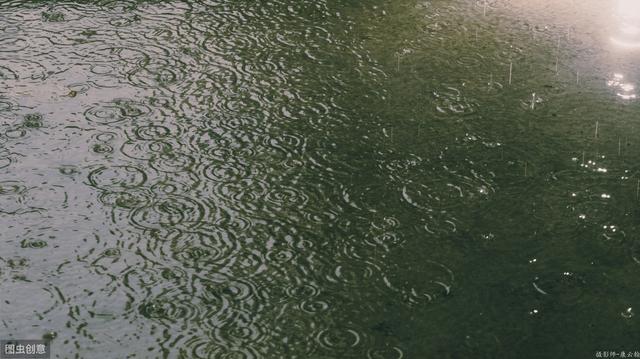 自来水养鱼怎么才不死？自来水养鱼怎么处理水