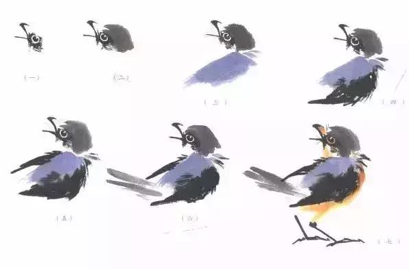 分步骤详解，写意翎毛基本画法，从结构到姿态，跟着学有大收获