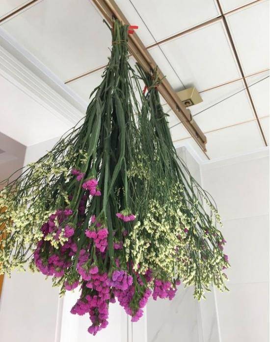 如何制作干花不变色(自制干花最快的方法)