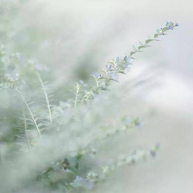 座右铭是什么意思（正能量激励自己的座右铭）