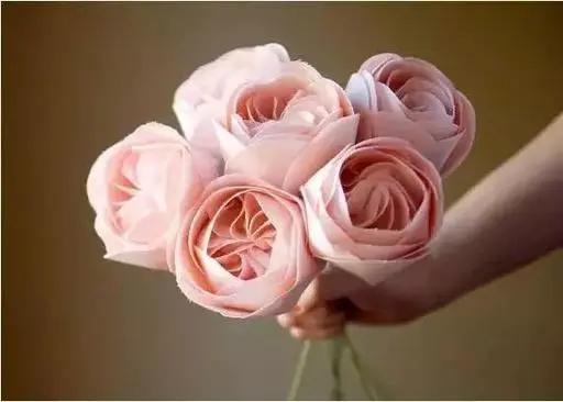 名贵花草排名(名贵花卉图片名称大全)