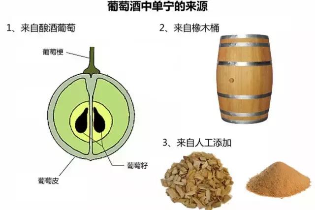 葡萄酒品鉴入门之什么是单宁？