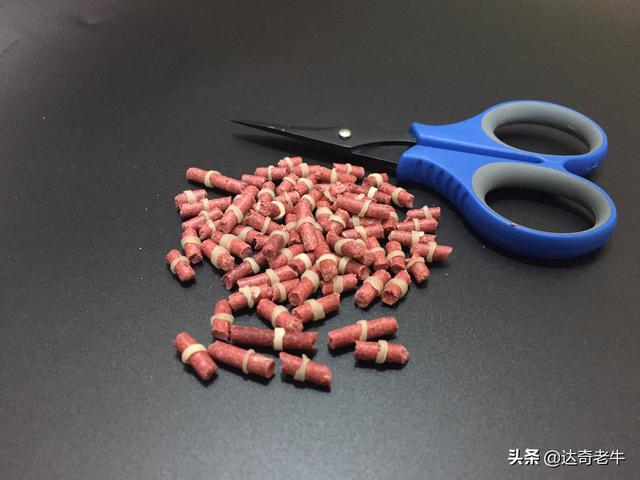 红虫颗粒怎么挂钩图解(红虫穿钩技巧)