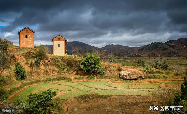 审时度势是什么意思(什么才叫审时度势)