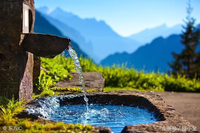 过犹不及的意思（中庸之道过犹不及）