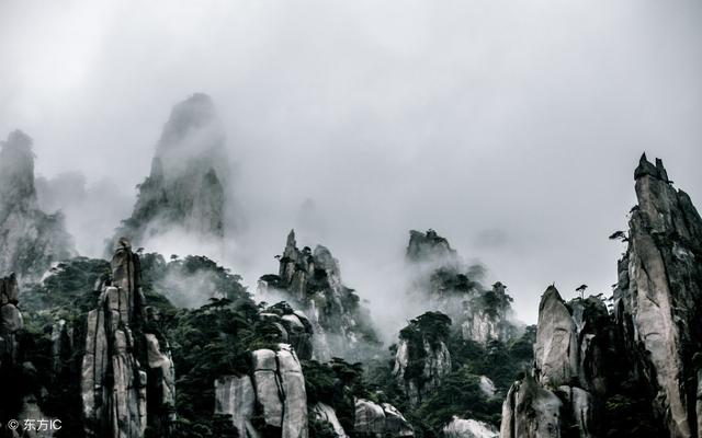 七步诗曹植赏析（七步诗完整版注释拼音）