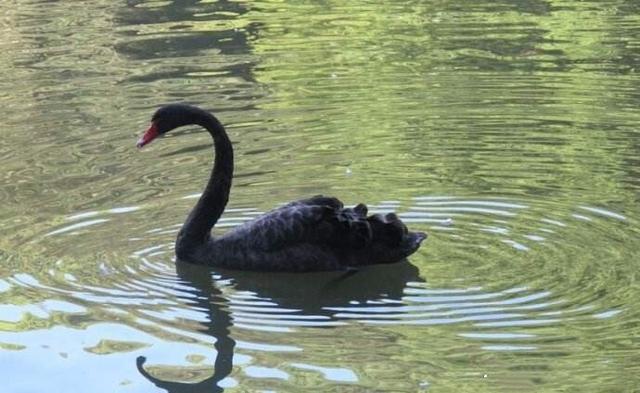 宋祖儿20岁才上大学，晒军训照清纯可爱，自嘲要去美黑了！