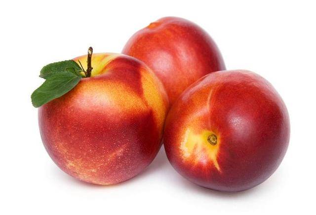 油桃的功效与作用禁忌（油桃是什么季节的水果）