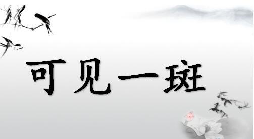 可见一斑的意思（可见一斑是褒义吗）