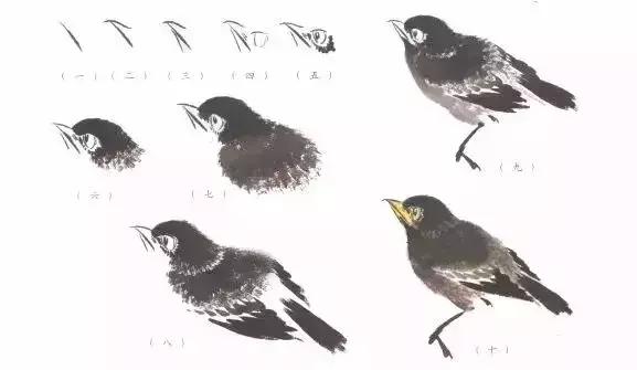 分步骤详解，写意翎毛基本画法，从结构到姿态，跟着学有大收获