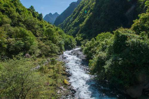 绵阳市一日游最佳景点(绵阳周边踏青好玩的地方)