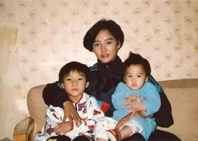 雅夫人历史是真的吗（寻秦记古天乐雅夫人）