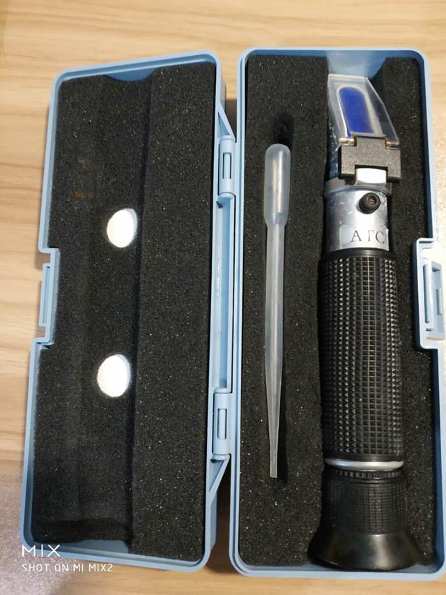 小丑鱼怎么养（新手最简单养小丑鱼的方法）