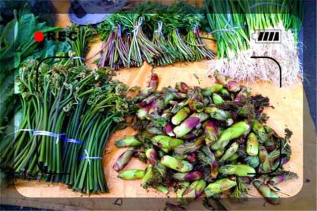 农村办厂**大全（适合农村办厂的**）