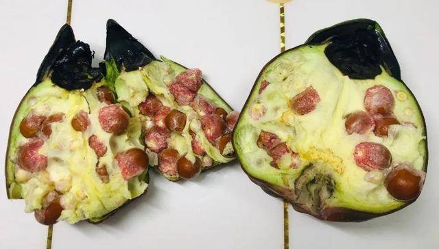 野菜有哪些常见品种(农村100种野菜图片)