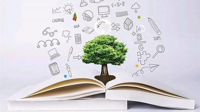 ***是什么意思（白皮本书的意义）