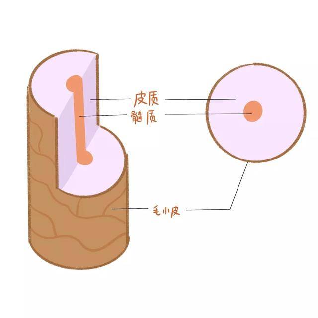 头发干燥毛糙怎么办（改善头发干枯毛躁偏方）