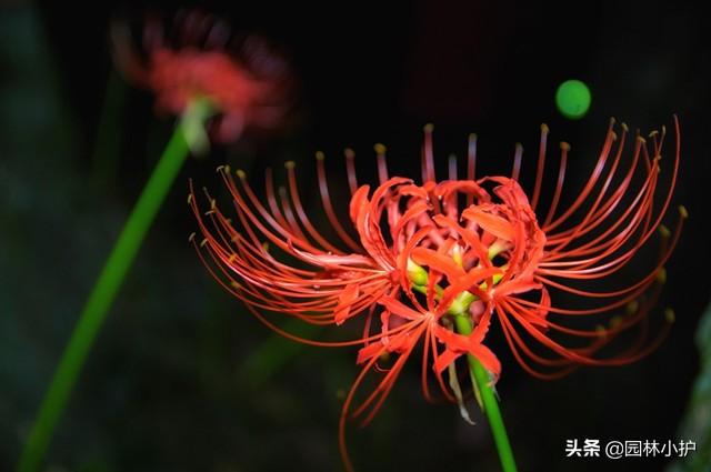 天花乱坠是什么意思（天花乱坠成语故事）