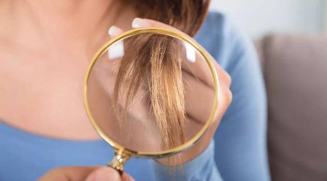 头发干燥毛糙怎么办（改善头发干枯毛躁偏方）