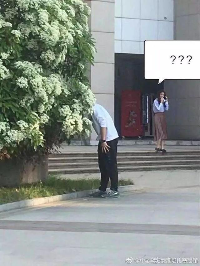 石楠的味道（石楠花的味道像什么）