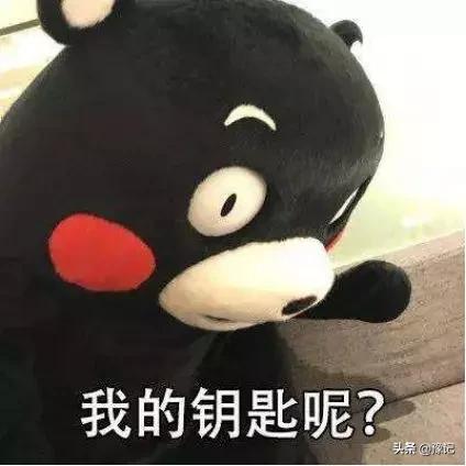 骑驴找驴怎么意思(骑驴找驴的成语故事)