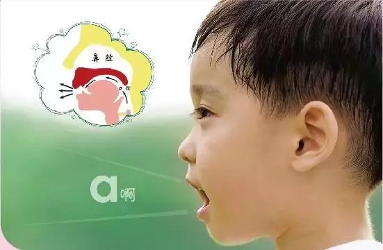 声母表和韵母表图片(声母韵母表图片大全)