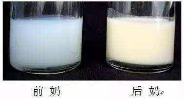 奶水清怎么可以变浓？母乳质量差的表现