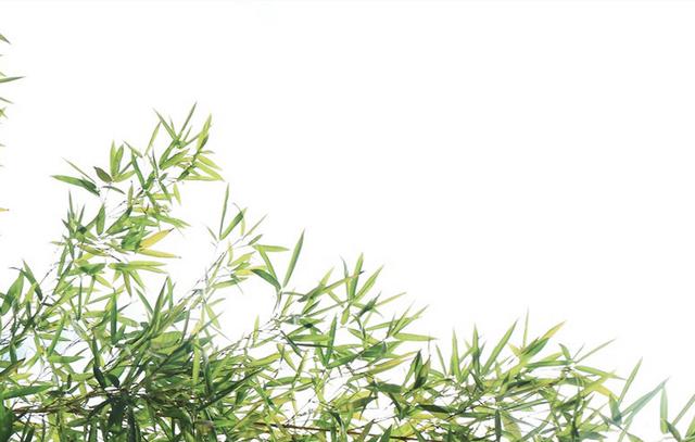 《严郑公宅同咏竹》唐 杜甫