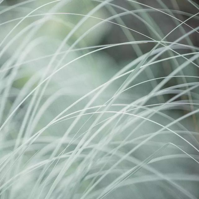 座右铭是什么意思（正能量激励自己的座右铭）