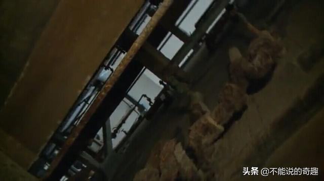 恶魔岛越狱事件 三个人活着被找到了吗？