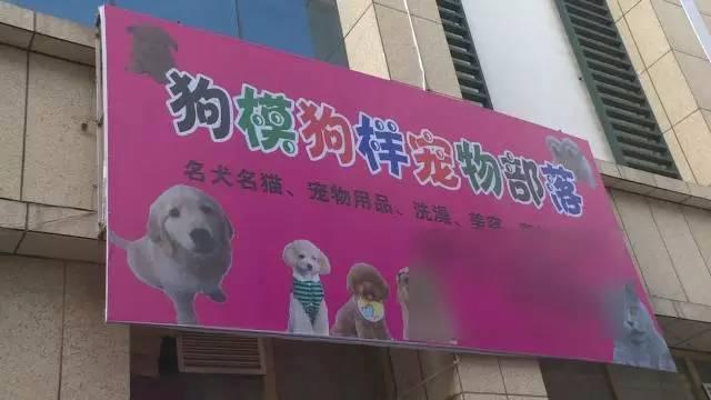 老王搞事情，为拍片砸烂朋友店的招牌！