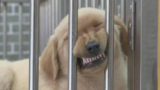 老王搞事情，为拍片砸烂朋友店的招牌！