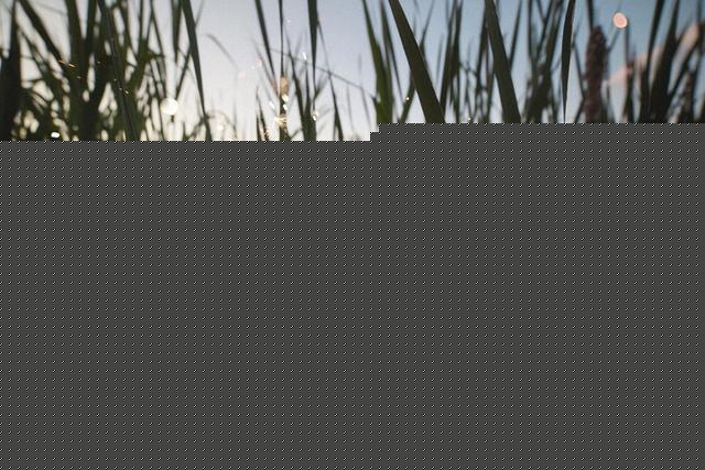 百家号新手期有收益吗（百家号新手期怎么转正）