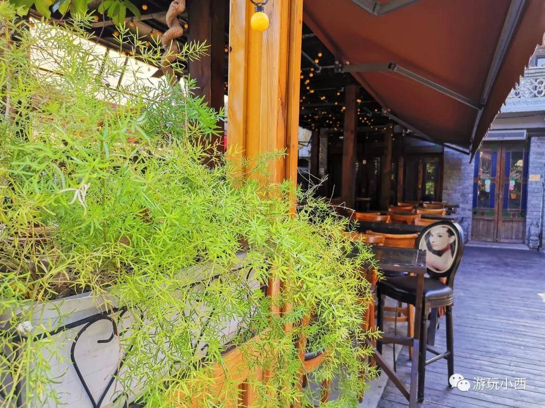 东莞有什么好玩的地方(东莞哪里好玩旅游景区)