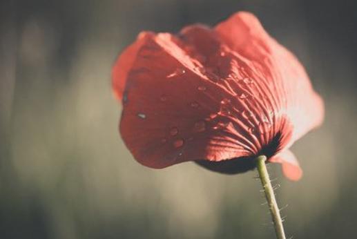 曲终人散是什么意思（曲终人散在感情意思）