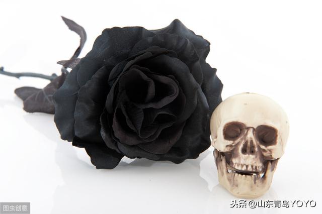 蓝玫瑰花语是什么(送蓝玫瑰代表这个寓意)