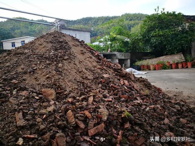 松树皮种兰花需加土吗_松树皮种兰花的方法