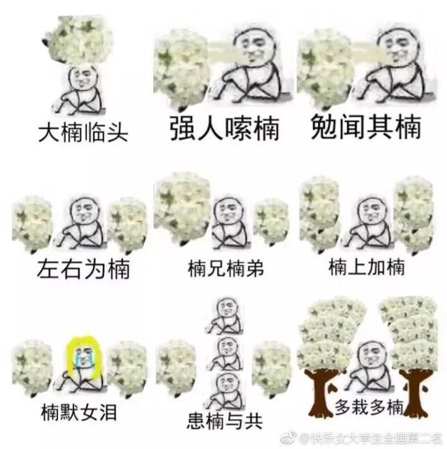 石楠的味道（石楠花的味道像什么）