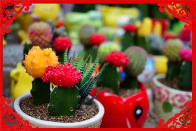 想办一个家庭作坊式的小工厂，有哪些可以推荐的？这几个