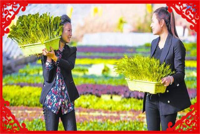 在农村办厂有什么**（适合农村办厂的**）