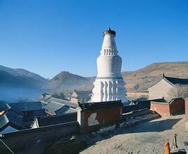 8341，它到底是怎样的一种存在