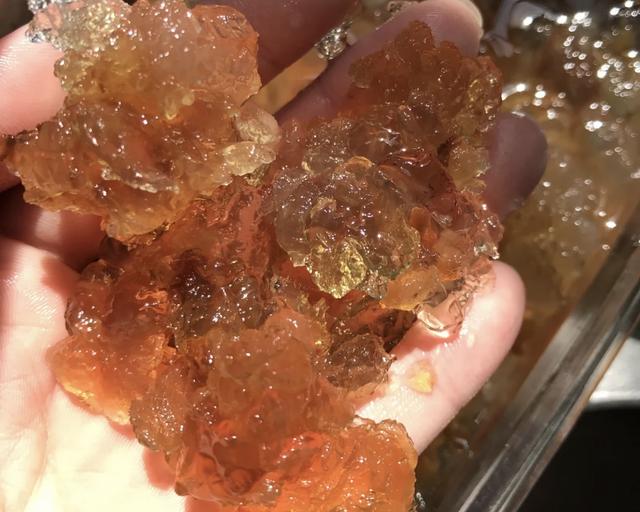 吃皂角米禁忌（吃皂角米有什么好处）