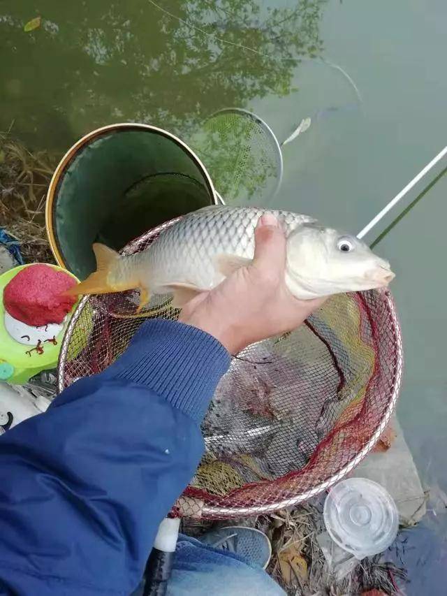 钓竿什么牌子好（教你如何选择钓竿）