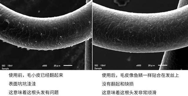 头发干燥毛糙怎么办（改善头发干枯毛躁偏方）