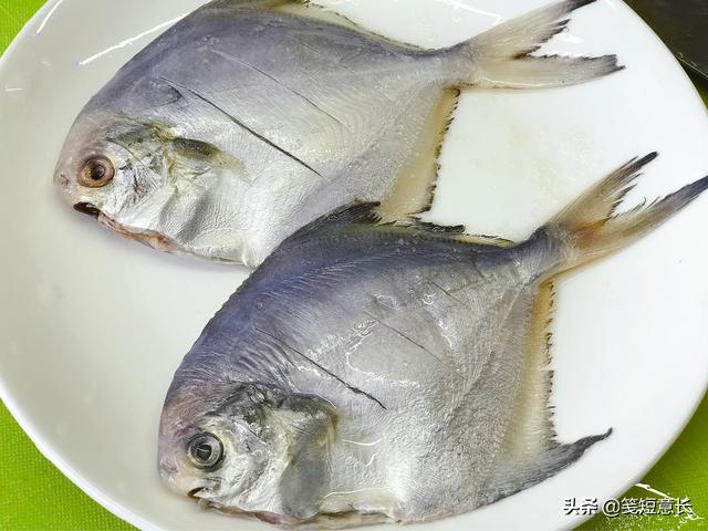 红烧平鱼怎么做好吃（红烧小平鱼的家常做法）