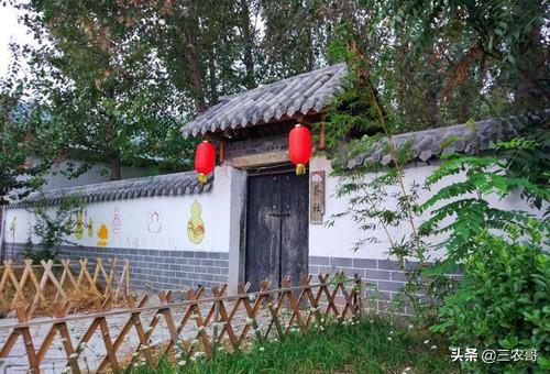 发家致富好** 农村可以做什么发家致富